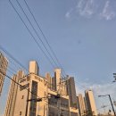 가나안유통 | 일산본점 오리고기집 가나안덕 내돈내산 후기! 보양식 땡길땐 여기로~ (가격, 주차, 맛, 양, 고구마...