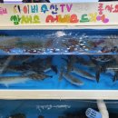 장목수산센타 이미지