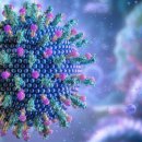 급속히 확산 중… 코로나19보다 더 무서운 감염병, 아시아도 뚫렸다 이미지