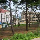 [도로]푸른지대 삼거리 이미지