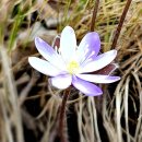 산골짜기 - 장성군 | 산골짜기