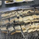 도림장어 이미지