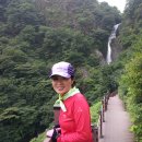 고종시마실길 이미지