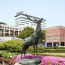 방과후프로그램교육연구소