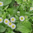 4호선 영산대역 이미지