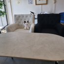 이서방 | 추억을 담은 맛, 용인의 미친 치킨 맛집! 이서방양념통닭 방문 후기