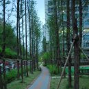 코아루수지부동산공인중개사사무소 이미지