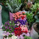 불로초등학교 체육관 이미지