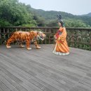 2026.05.23. 무의도(카페뮈~실미유원지~국사봉~하나개해수욕장 9.59km 3h45m)(2)..황산벌산악회.. 이미지