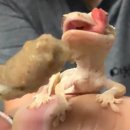 팀 브리더즈 nc 백화점 신구로점 방문 후기