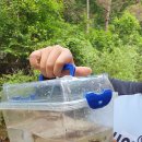 금물산하늘소캠프 이미지