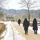 홍천재활용센타 | 단식의 효과,장점 !