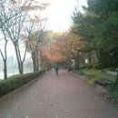 석촌상가 앞 횡단보도 이미지