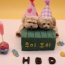 봉봉애견 이미지