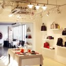 블루아라(I) 이미지