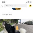 니나펫카페 네이버블로그