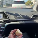 호현1길 | 콩그레출레이션