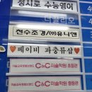 비전프라자 | 베이비파충류샵 평택비전점으로 평택도마뱀 사러 다녀온 후기