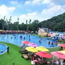 도그베이 이미지