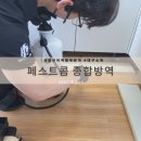 [경산 대구 바퀴벌레 개미 퇴치소독] 페스트콤 종합방역 출장방문후기
