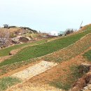 설천면106 이미지