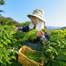 해오름농장-3 이미지