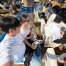 서울가든 - 울주군 보삼길 256-3 | 2026 서울 가든 페스티벌 후기 - 무료 공연 (+사전예약, 현장예약 꿀팁!)