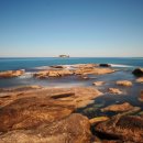 (주)천진 이미지