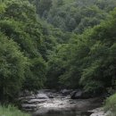 둔내캠프 이미지