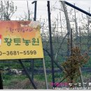 황토농원마트