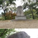 금수정 이미지