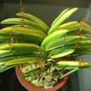 아까금농장 이미지