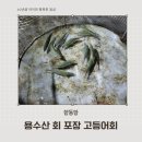 용수산 | 제주 용수산 회 포장 함덕 고등어회 포장 후기