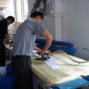 디앤시코리아 이미지