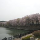 은파호수공원 이미지