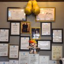 강성체육관 본관 이미지