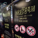 초롱식당 | 청계천 빛초롱축제 잉어킹 후기