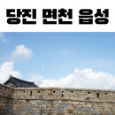 골정지 | 당진 면천 읍성 야간 벚꽃 명소 골정지