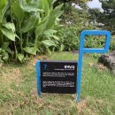 제주 올레길 7코스 이미지