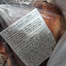 호텔 진 이미지