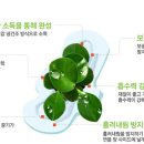 이천애터미