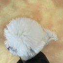 아우어패밀리 이미지