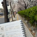 봉평산골메밀촌 | 부평 막국수 맛집 봉평 산골 메밀촌 물•비빔 막국수와 감자만두 내돈내산 솔직후기