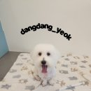 리나미용실 - 화성시 석교로157번길 6-18 | 리나미용실