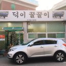 덕이꿀꿀이 이미지