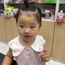 키드키드 소아청소년과의원 이미지