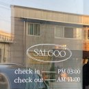 살구스테이 이미지