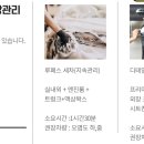 루페스빅풋디테일링센터창원점 이미지