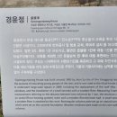 경윤정 이미지