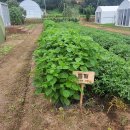 유정농장 이미지